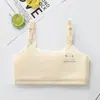 Roupa íntima feminina, Camisola feminina para a Segunda Fase de Desenvolvimento, Sutiã para Alunas do Ensino Fundamental II e Ensino Médio para Prevenir Pontos Salientes