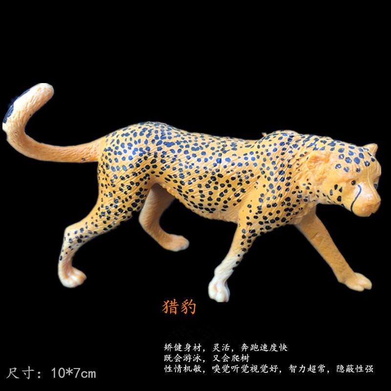 猎豹