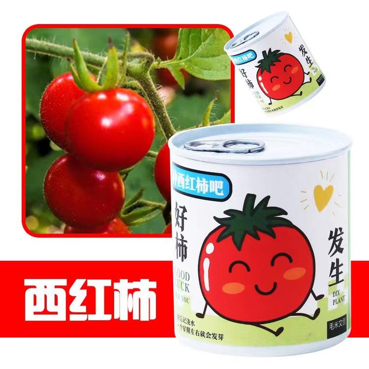 9e9a58670bf5b201cac34994f6286f