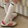 Calcetines de pantorrilla estilo coreano para otoño e invierno Ioulor con logo de letra, calcetines casuales de color liso con rizo de algodón para aeróbicos, calcetines Zhuji al por mayor