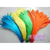 Plumas de cola de gallo Plumas de cola de gallo Plumas de cola de gallo teñidas de colores Plumas para manualidades Plumas de actuación