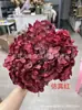 [Niebla Natural Hortensia] Flor Eterna Flor Seca Hortensia Anna Hortensia Lobular Material para Boda DIY Venta al por Mayor