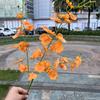 Orquídea danzante hidratante de manos de alta calidad, fabricantes de comercio exterior, orquídea danzante hidratante de manos, decoración de bodas para el hogar, flores falsas