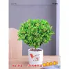 Planta en Maceta Flor de Milán, Planta de Interior con Flores y Capullos, Planta Verde Repelente de Mosquitos, Bonsái de Tocón Viejo, Planta de Floración Cuatro Estaciones, Fragante y Fácil de Cuidar