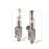 Válvula de Seguridad para Autoclave Parker - Serie RVS&PRVS de Asiento Blando 5PRVS8072