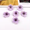 Flores artificiais pequenas, flores cosmos, materiais para cabeça de flor de grampo de cabelo DIY, arranjos florais de casamento, itens decorativos, acessórios para caixa de presente de roupas, cabeças de flor