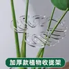 Estrutura de Suporte Transparente Espessa para Monstera Suporte Anti-tombamento para Plantas Fixador de Agrupamento de Caules e Galhos Cultivo em Hidroponia/Solo Planta Verde