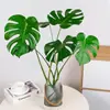 Planta Hidropónica Monstera Maceta Pila Vieja Purifica el Aire Ave del Paraíso Hoja Grande Follaje de Interior Planta Verde Perenne Todo el Año