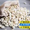 Lentilhas Brancas 500g, Grãos Frescos Secos, Novas Lentilhas Brancas, Não Fritas, Atacado e Varejo para Uso Comercial