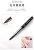DINGXI DX Pincel para uñas Pluma para uñas Pluma con varilla de taladro de cristal Pluma para pintar Manicurista Set universal de plumas