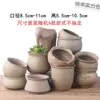Vasos de Cerâmica Bruta Sem Esmalte para Flores Frescas com Características Zen Criativas, Novo Conjunto Respirável para Plantas Suculentas, Frete Grátis