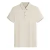 Camisa Polo de Trabalho de Alta Qualidade Personalizada com Tecido de Linho Liso, Cor Lisa, Tecido de Segunda Linha e Estampa de Logotipo