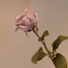 Flores Artificiais de Alta Qualidade, Decoração de Interiores Estilo Europeu, Arranjos Florais para Casamento, Rosas com Borda Queimada, Venda Direta da Fábrica, Rosas Corais