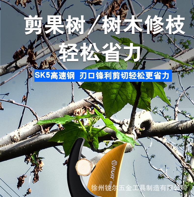 详情_01.jpg