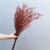 Flores Preservadas Vermelhas Flores Secas Casamento Festivo Pendurado Arroz Pinheiro Penglai Hortênsia Feijão de Boas-Vindas Pó de Feijão Chai Vermelho Grande Bambu Lu Tecido Venda por Atacado