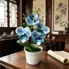 Orquídea artificial de alta gama, minimalista, en maceta, con cuatro flores en una maceta poco profunda, adecuada para la sala de estar, el recibidor o la decoración de escritorio.