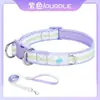 Collar y Correa para Perro de Mascota Transfronterizo, Placa de Identificación Anti-Pérdida Grabada, Collar para Golden Retrievers, Perros Medianos y Grandes, Shiba Inu, Perros Pequeños
