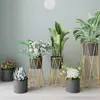 Amazon Nórdico Simple Hierro Forjado Estante para Flores Estante de Almacenamiento Estante para Flores Interior Sala de Estar Balcón Rosa Verde Planta Verde Estante para Macetas