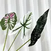 Planta Verde de Novo Produto Transfronteiriço Folha de Calla Folha de Begônia Folha de Taro Colorida Planta Guia de Corredor de Casamento Parede de Plantas Design Floral DIY