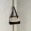 Bolsa de Ombro Cruzada com Bolinhas Feminina 2026 Novo Estilo Verão High-End Casual Moda Exquisite Saco de Ombro Único
