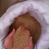 Alimento especial Chuangda para pollos de engorde, pollos pequeños, medianos y grandes, 900 gránulos de pienso para gallinas ponedoras con rutina 510511, alimento para pollos de engorde