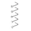 Conjunto de Piercings de Nariz Combinados Transfronteiriços, Piercings de Nariz, Conjunto de 21 Peças com 5 Diamantes, Joias de Nariz de Aço Inoxidável para Body Piercing Decorações