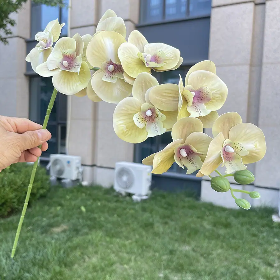 9头短杆3D打印蝴蝶兰-xlmwdx-黄绿.JPG