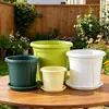 Maceta de control de raíces Qingshan de tercera generación para jardinería, cultivo de flores y cría de plántulas, engrosada, transpirable y permeable al agua, adecuada para esquejes de rosa y clemátide, maceta de plástico