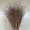 100 Peças de Flores Secas Rosas, Capim Rabo de Raposa Rosa, Painel de Casamento, Enfeites para Decoração de Casa, Buquê de Flores Nebulosas