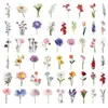 200 Pegatinas Transparentes Mascota Material Hecho a Mano Flores del Bosque Fruta Champiñones Estilo Ins Decorativas Taza de Agua Refrigerador Pegatina Lote