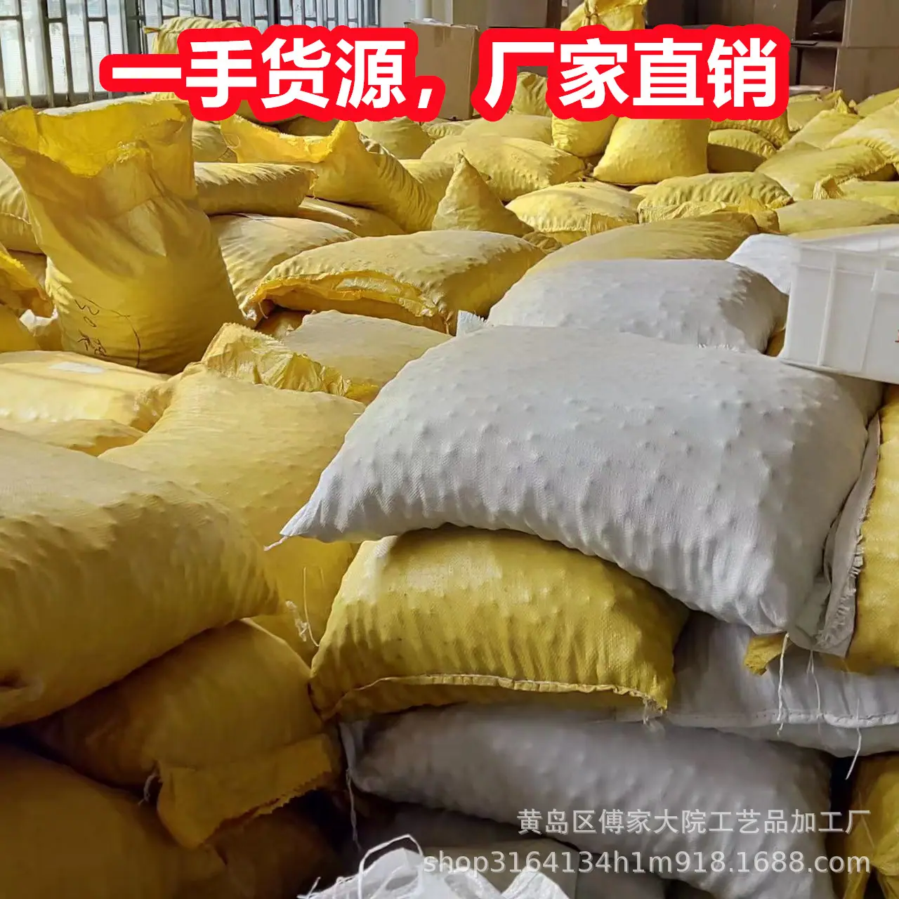 菩提根07.jpg
