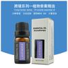 44 vela de aromaterapia aceite esencial jengibre ajenjo rosa aceite esencial sándalo aromaterapia difusor de aceite vegetal único caja set