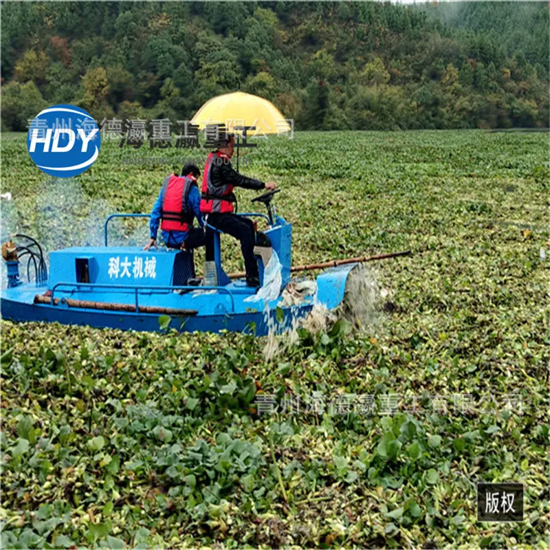 2江西碎草船 (3).jpg