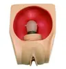 Modelo de Práctica Anticonceptiva para Mujeres Mayores, Modelo de Simulación, Modelo de Entrenamiento de Habilidades para Mujeres y Niños