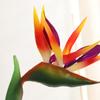Sensação de alta simulação pequeno pássaro do paraíso guindaste de cola orquídea decoração de casa decoração de salão de exposições fábrica de flores artificiais vendas diretas