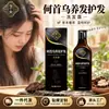 Champú Polygonum multiflorum para el cuidado del cabello, extracto de planta herbal nutre las raíces del cabello, suaviza el frizz, controla la grasa y añade volumen
