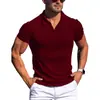 Verano Europeo y Americano Transfronterizo AliExpress Amazon Nueva Camisa Polo Lel Cuello en V Raya Vertical Manga Corta Camiseta para Hombre