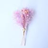 Mini Buquê de Flores Secas Transfronteiriço DIY Mix-And-Match Buquê de Ponta dos Dedos Balde de Presente Kit de Materiais Decoração de Cartão de Cumprimentos