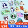 Chaveiro acrílico personalizado com logo, corrente publicitária, foto, ímã de geladeira criativo DIY de desenho animado/anime, personalização dupla face