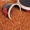 Arroz de Sorgo Rojo de Mongolia Interior 480g Empaque al Vacío Granos Nuevos y Granos para Elaboración de Vino Sorgo Rojo Especial Oem
