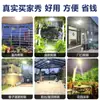 Luces Solares Transfronterizas, Luces Solares para Interiores, Luces de Techo, Luces de Emergencia para Camping Domésticas Uno a Dos, Iluminación LED
