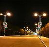 Luz LED con forma de mariposa Luz de poste de calle Luz de poste Lámpara colgante Luz con patrón de animal Luz con forma de planta