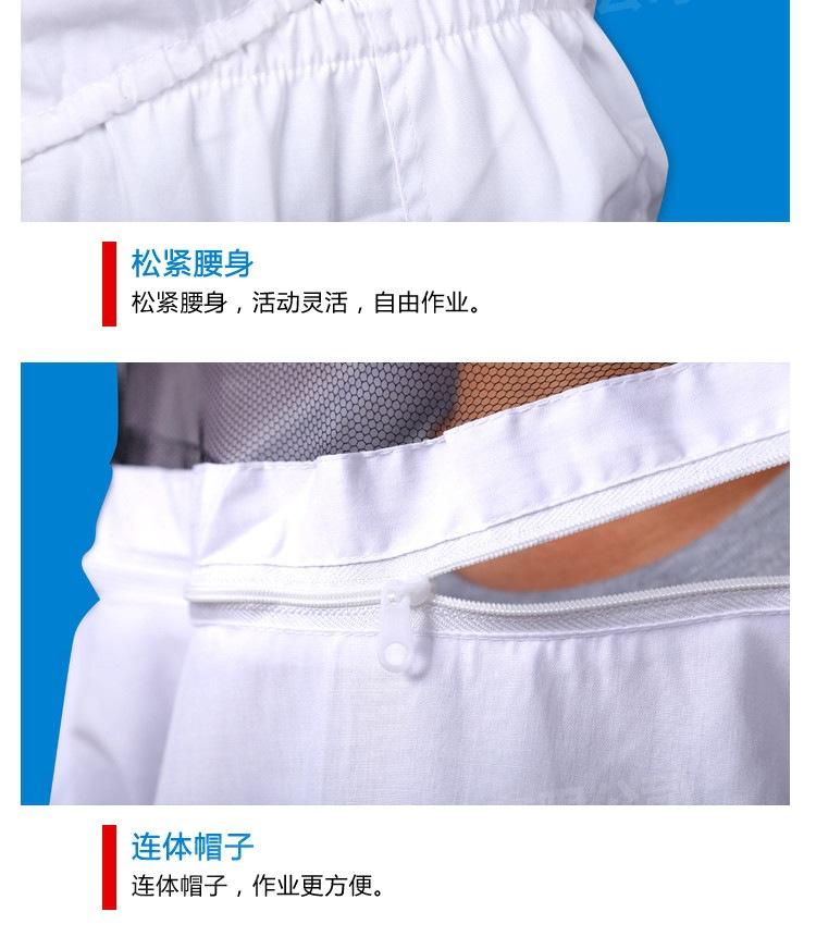 分体
