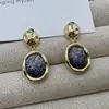 S925 Otoño e Invierno Nuevos Pendientes Coreanos Populares de Dongdaemun Pendientes del Cielo Estrellado Pendientes de Lujo Accesible de Alta Gama para Mujer Pendientes de Moda