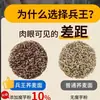 Fideos de trigo sarraceno fideos instantáneos reducidos bajo en grasa granos integrales sin cocción todos los fideos alimento básico sin edulcorantes artificiales alimento sustituto de comida