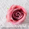 Coleção de Cabeças de Flores Artificiais Rosas para Materiais de Grampo de Cabelo DIY, Acessórios de Cabelo High-End Estilo Chinês Novo Hanfu para Casamentos