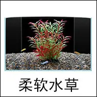 柔软水草