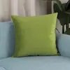 Funda de almohada de terciopelo holandés estilo Ins, color liso, para sofá, dormitorio y coche