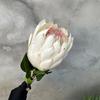 [Material de flor blanca] Arreglo floral de hortensia, rosa, flor de pasto escarchado con decoración de material de hoja de niebla de techo de pasto, flor de simulación para boda