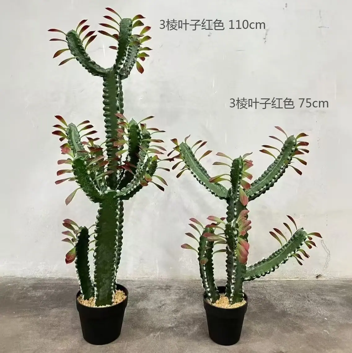 3棱叶子红